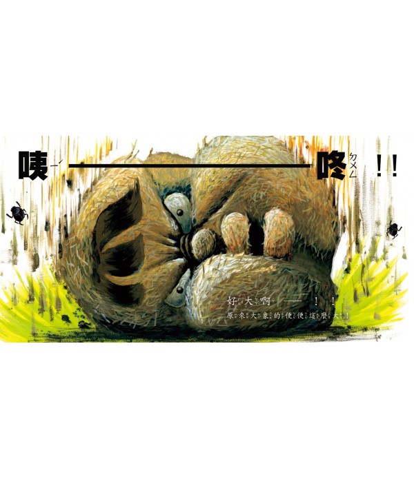 當一天便便（SDG4優質教育 認識意想不到的便便知識！）