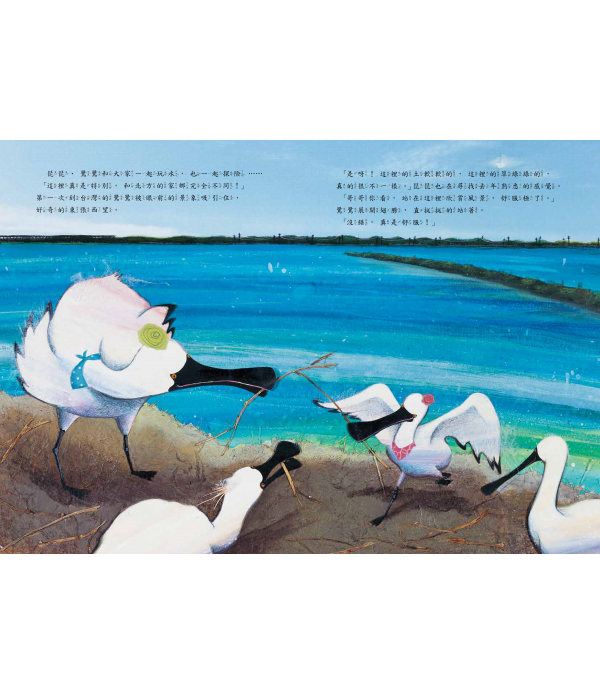 黑面琵鷺來過冬（SDG15保育陸域生態繪本）