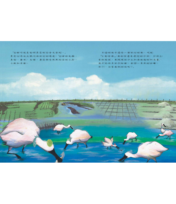 黑面琵鷺來過冬（SDG15保育陸域生態繪本）