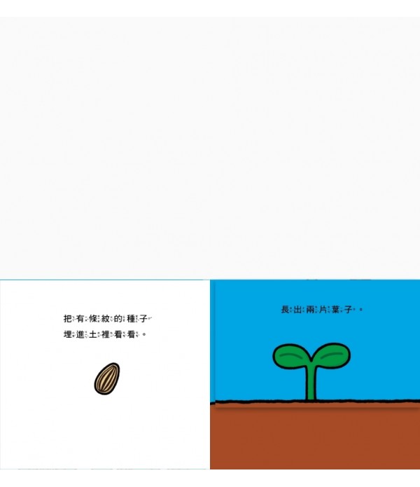 花開了！(SDG 4 優質教育 訓練手眼協調的翻翻遊戲書)