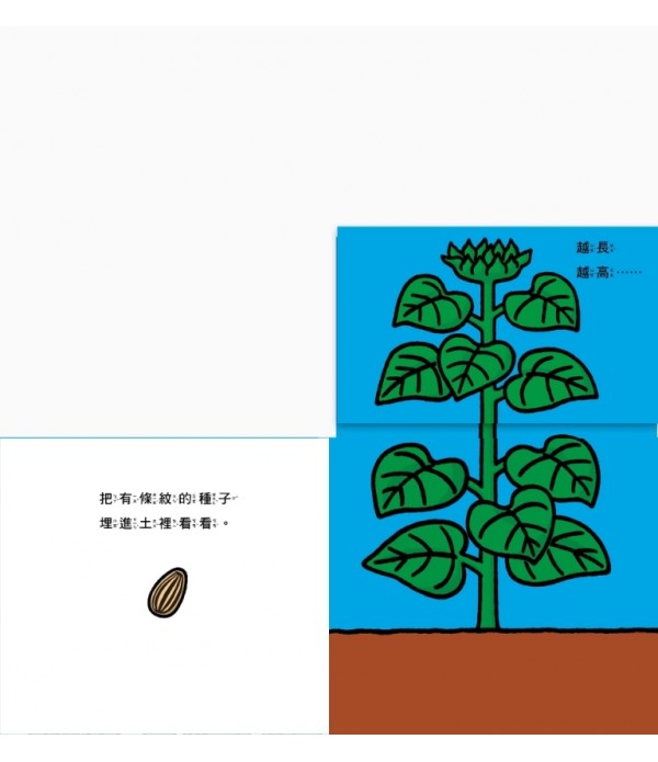花開了！(SDG 4 優質教育 訓練手眼協調的翻翻遊戲書)