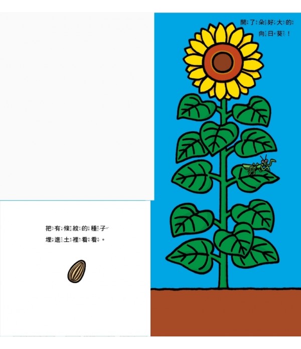 花開了！(SDG 4 優質教育 訓練手眼協調的翻翻遊戲書)