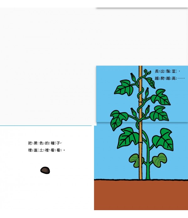 花開了！(SDG 4 優質教育 訓練手眼協調的翻翻遊戲書)