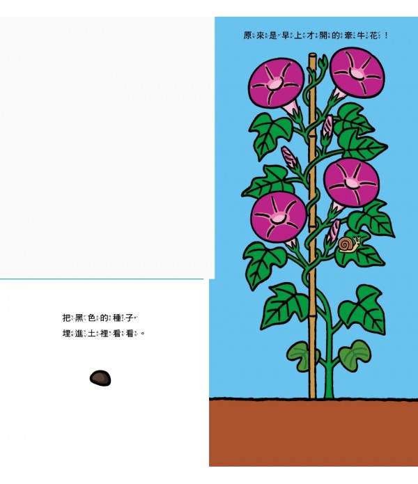 花開了！(SDG 4 優質教育 訓練手眼協調的翻翻遊戲書)